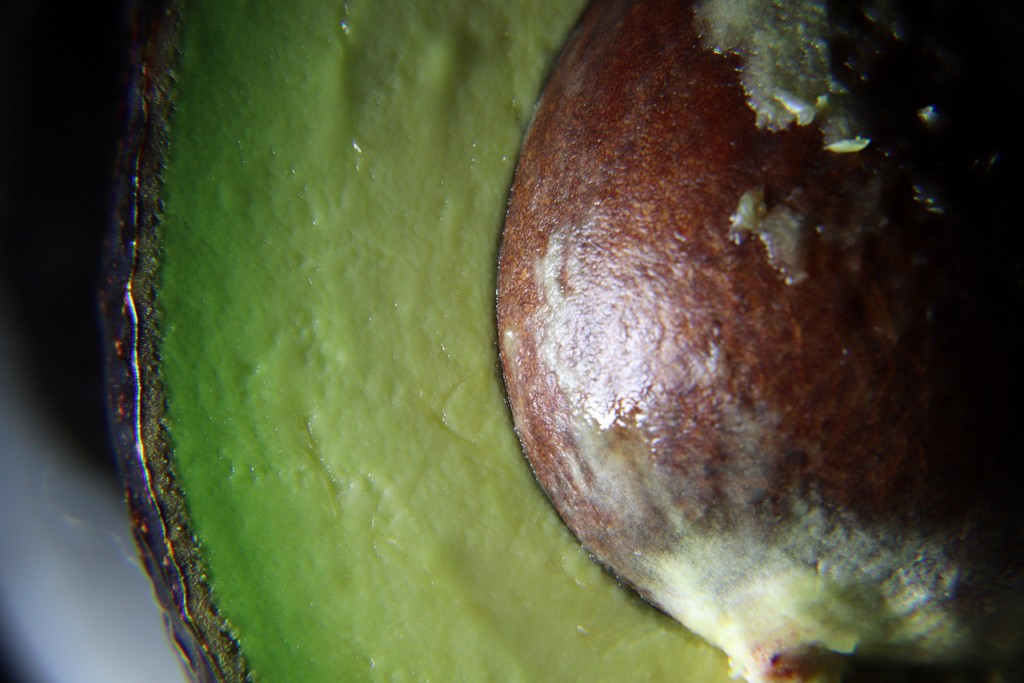 Day 157:  Avocado  by sheilalorson