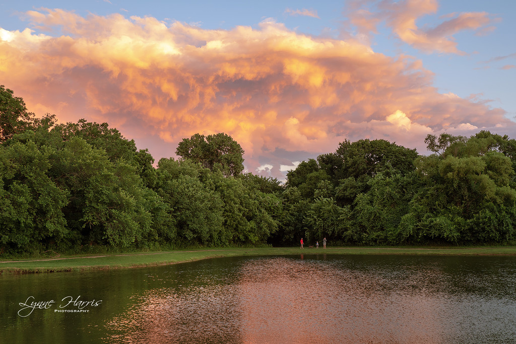 Nature Center at Sunset by lynne5477