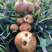 Mushrooms by kjarn