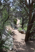 7th Jun 2019 - Piedra Lisa Hiking Trail.