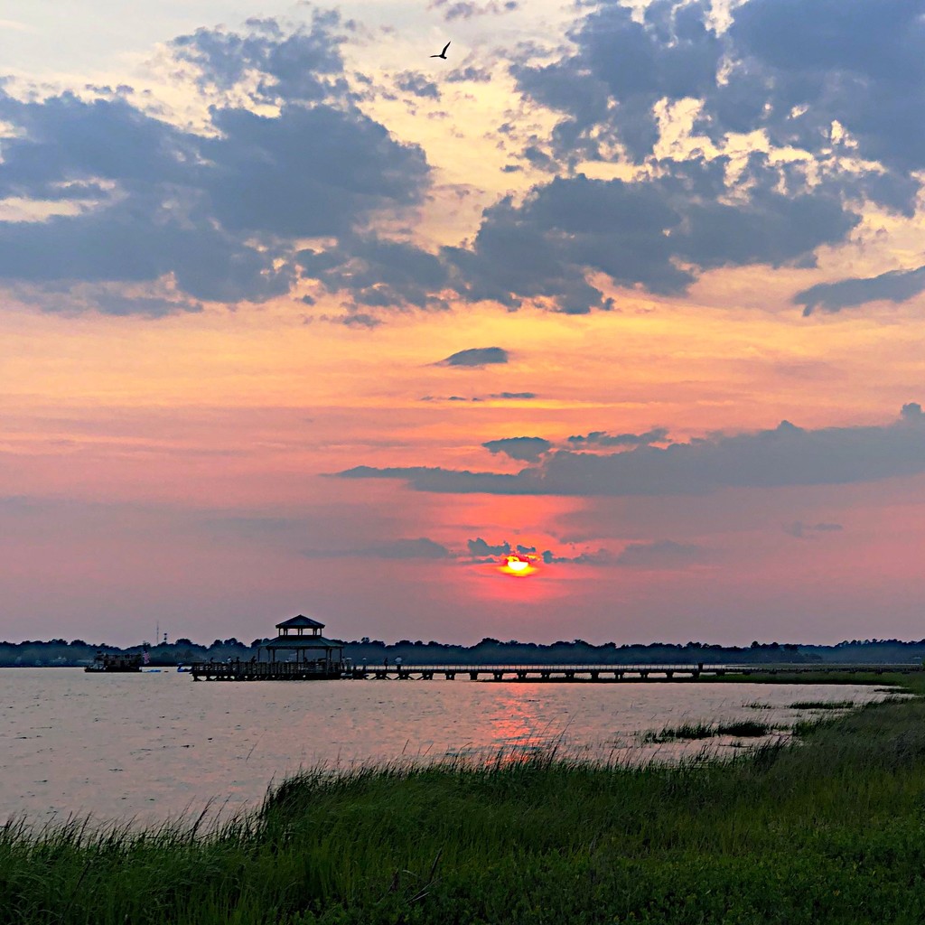 Sunset at Brittlebank Park in Charleston. by congaree