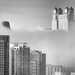 Fog Cuts Across the City by taffy