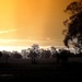 Sunset across the paddock. by robz