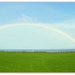 And More Rainbows.. by julzmaioro