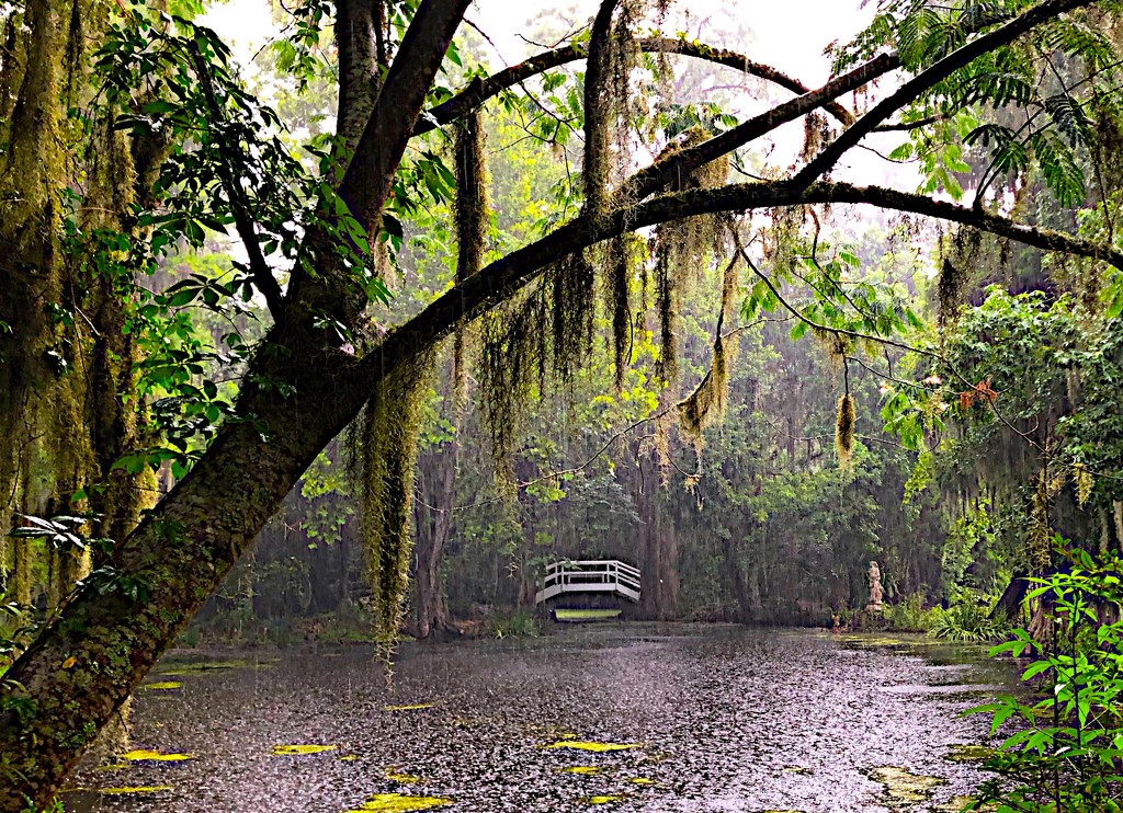 Magnolia Gardens during a rain shower by congaree