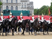 6th Jun 2019 - Horse Guards