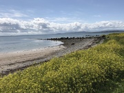9th Jun 2019 - Galway Bay