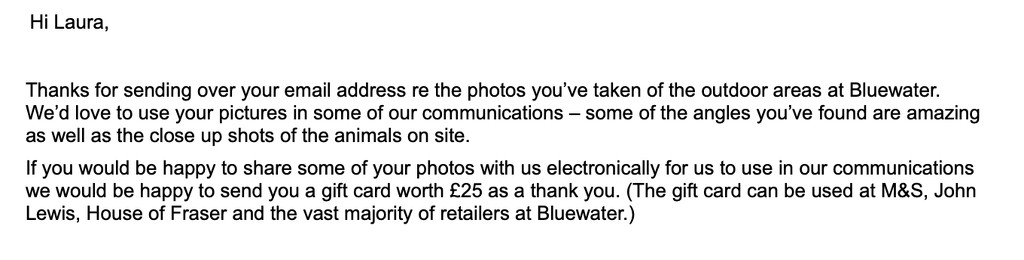 Whoop, whoop, so excited my photos are going to be featured by bizziebeeme