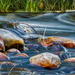 Rocks and Water by kvphoto