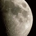 Close Up of The Moon by randy23