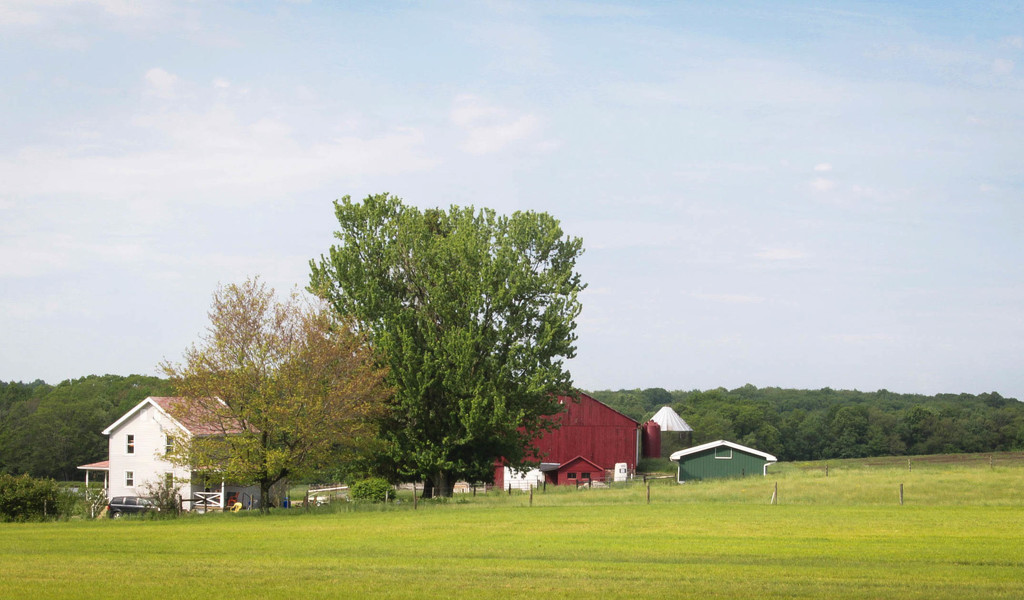 Farm by mittens