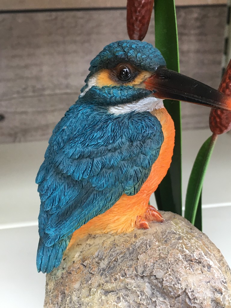 Yay, got a shot of a Kingfisher........ by 365anne