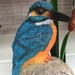 Yay, got a shot of a Kingfisher........ by 365anne