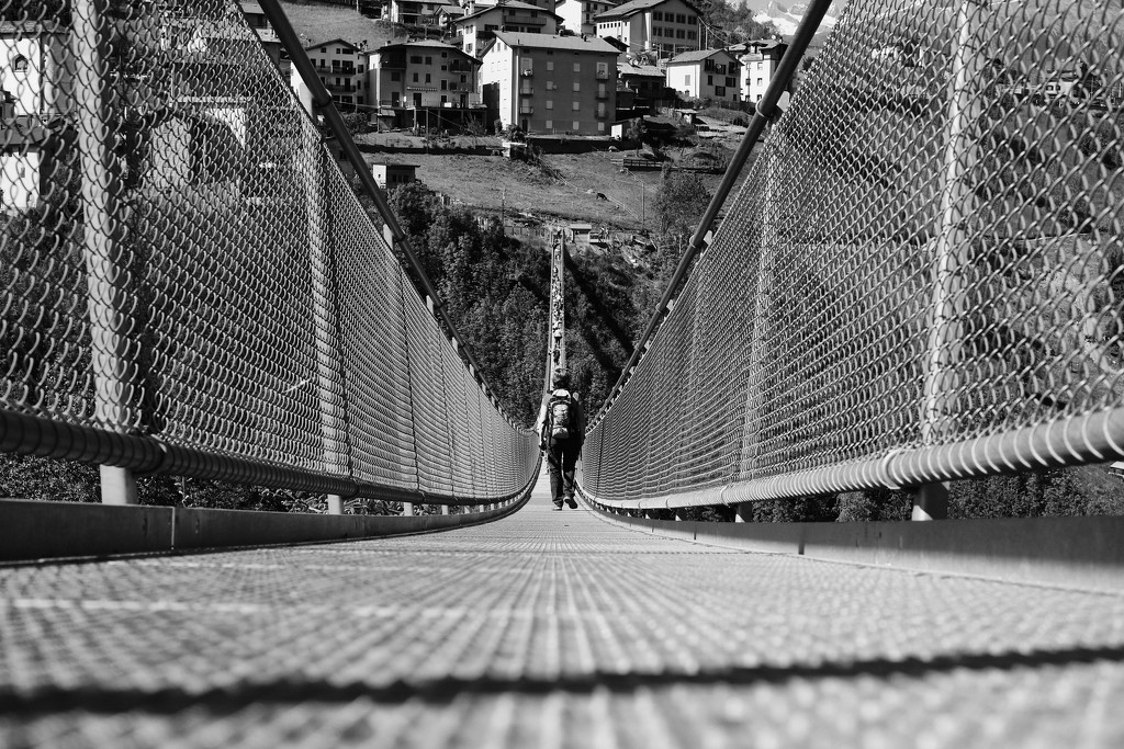 On the bridge by stefanotrezzi