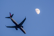 11th Jun 2019 - fly me to the moon