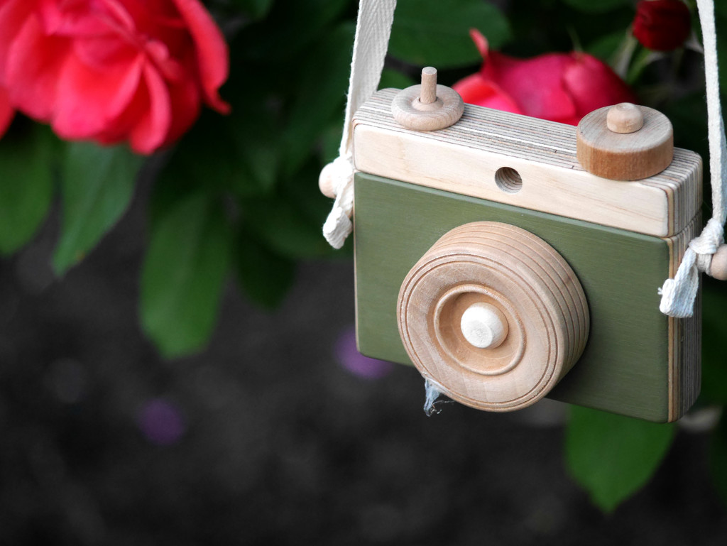 Little Wooden Toy Camera by gq