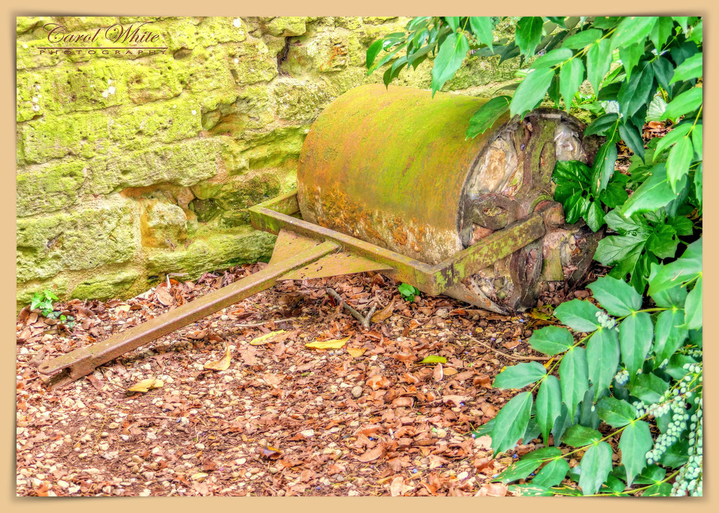 Old Garden Roller by carolmw