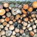 Logs by rosie00