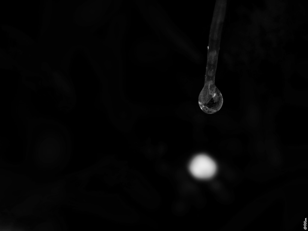 Droplet by ramr