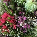 Fynbos bouquet by lmsa