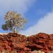 Iconic Pilbara shot. by judithdeacon