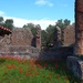 Poppies amongst the ruins by blueberry1222