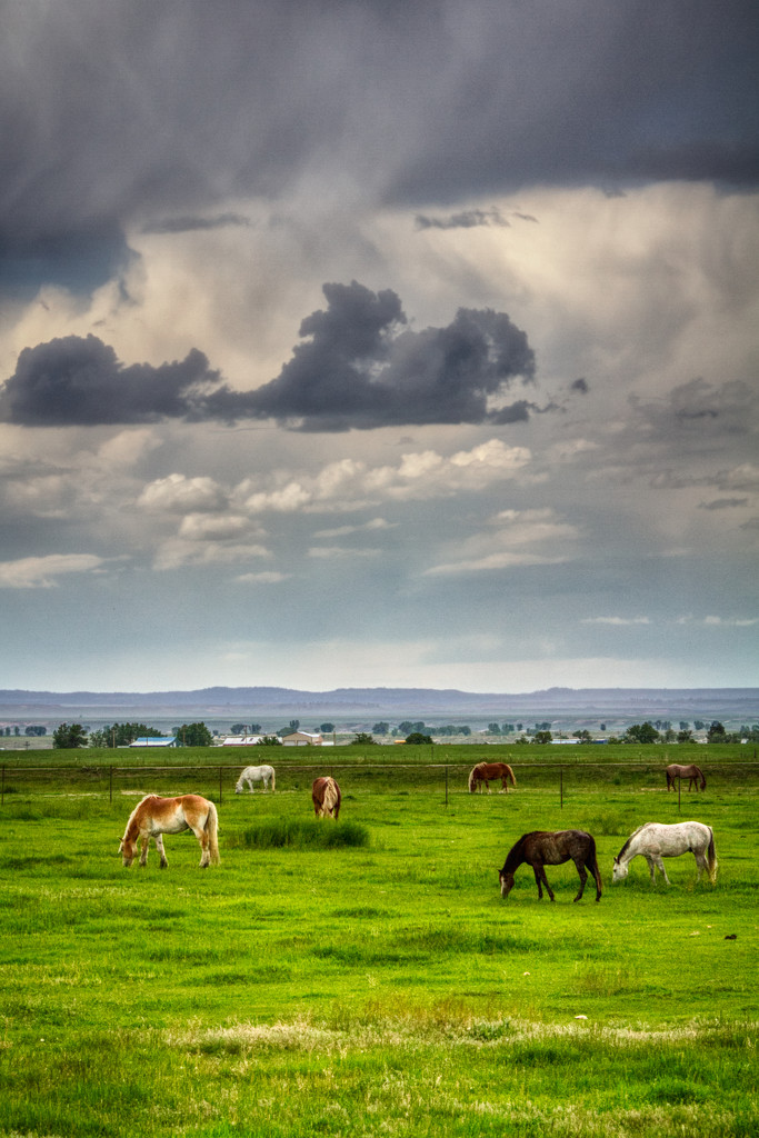 Stormy Wyoming Pasture by kvphoto