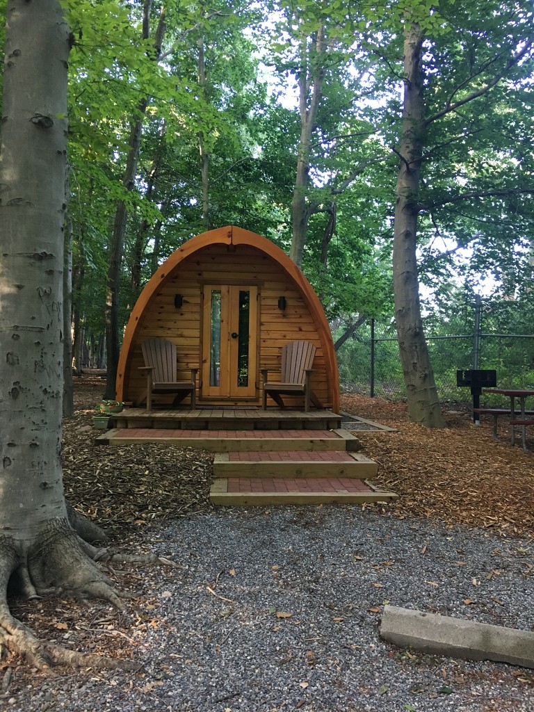 Cabin in the Woods by wilkinscd