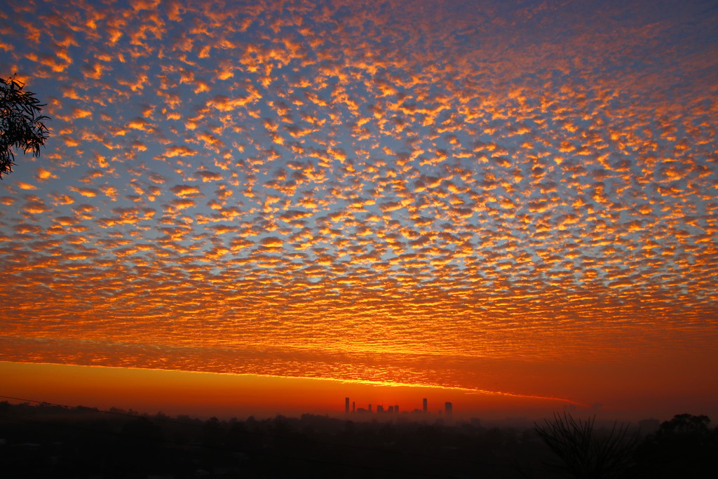 Mackeral Sky Sunrise by terryliv