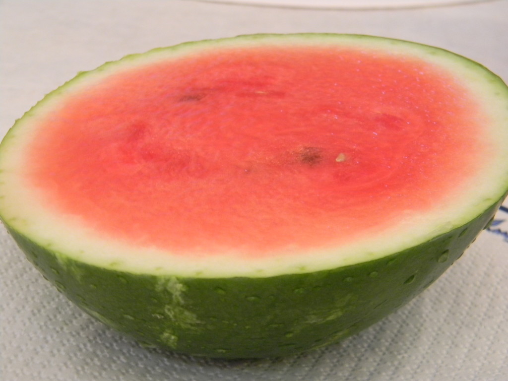 Slice of Watermelon by sfeldphotos