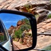 Zion National Park by louannwarren