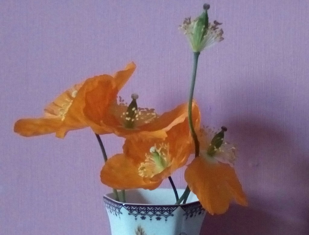 The vase of orange poppies. by grace55