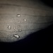 Water Droplets on petal by ramr