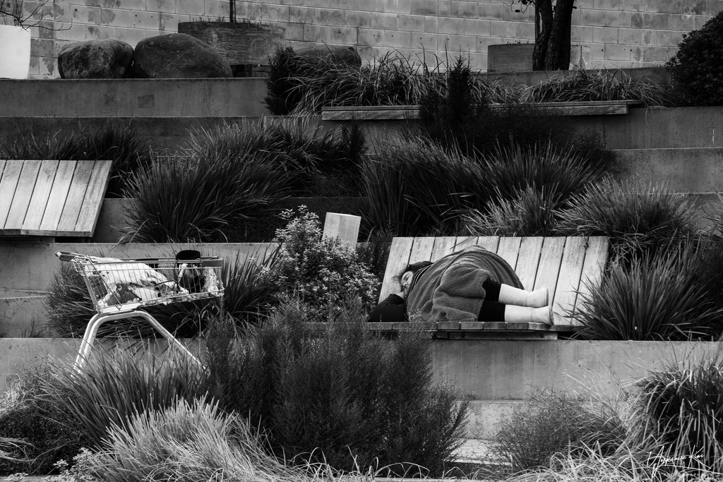 Homeless by yorkshirekiwi