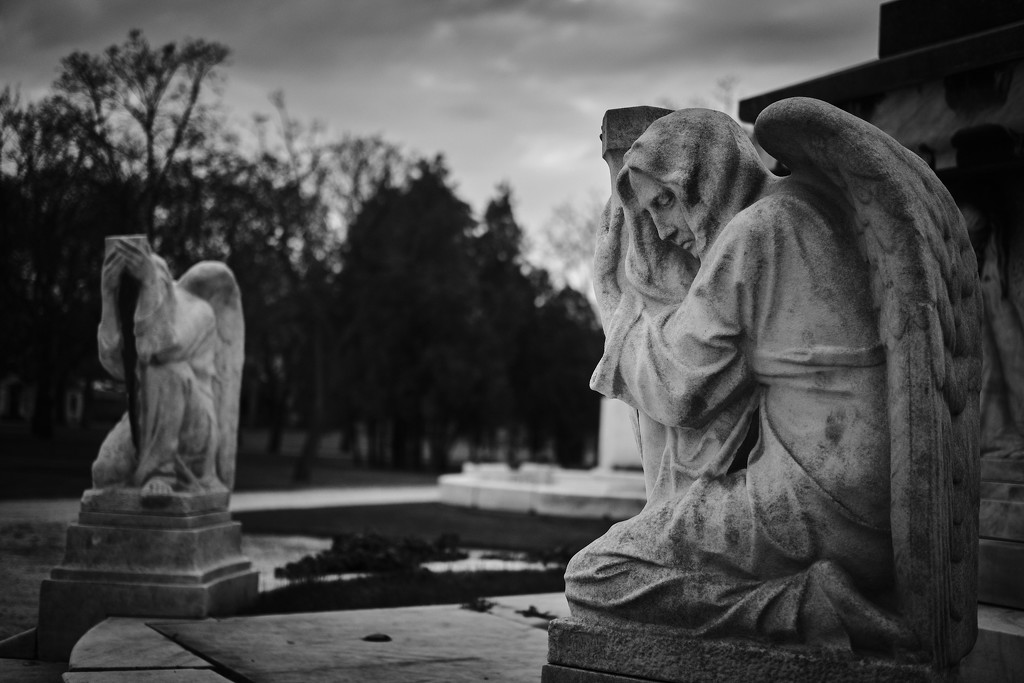 Cemetery angels by stefanotrezzi