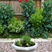 Just a pot and poppies !! by beryl