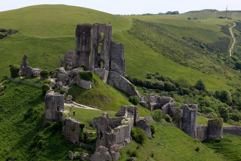 27th May Corfe Castle from ridge by valpetersen