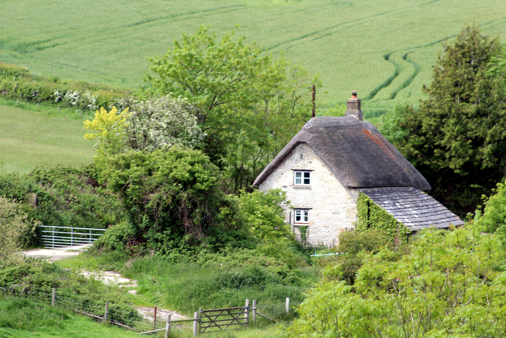 28th May Cottage near Corfe Castle by valpetersen