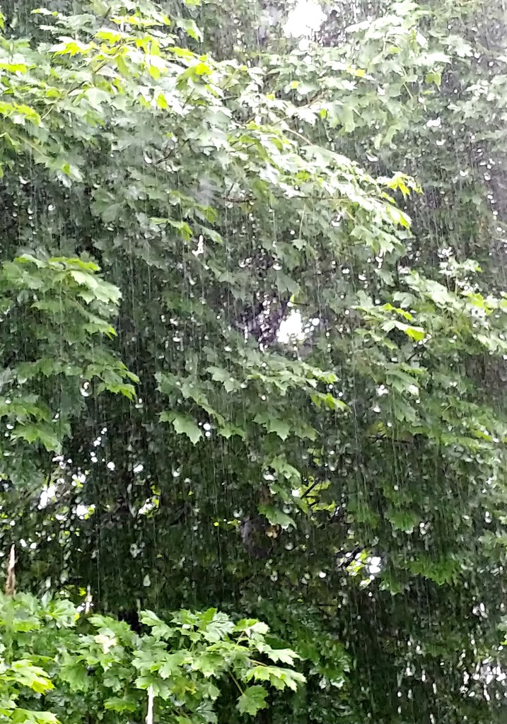 Rainy Day Tuesday by jo38
