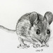 Mouse by harveyzone