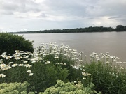 18th Jun 2019 - The Ohio River at Newburgh, Indiana
