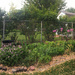 0601_12 Pano by pennyrae