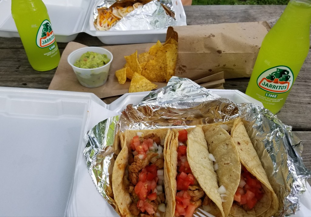 Taco Tuesday In The Park by scoobylou