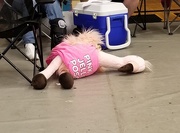 15th Jun 2019 - Wiped Out By Relay For Life