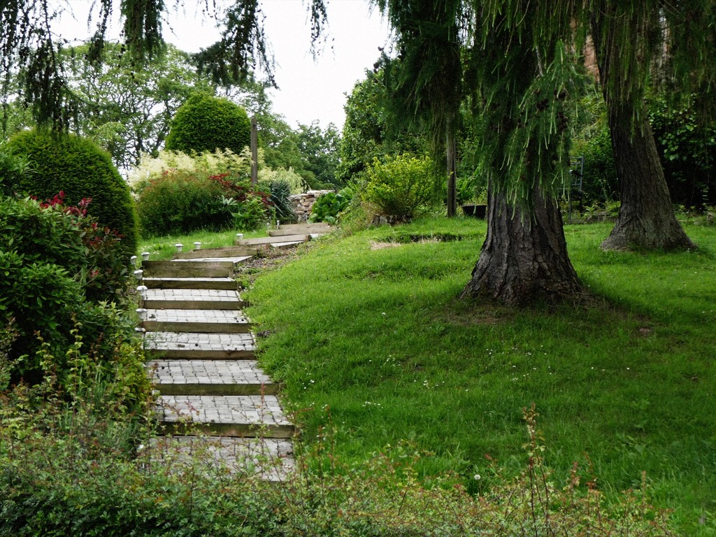 Garden, Pleasley Vale by allsop