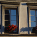 flowery window by parisouailleurs