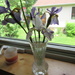 A few of our garden irises  by bruni