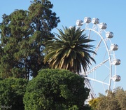 19th Jun 2019 - Ferris Wheel