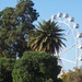 Ferris Wheel by monicac