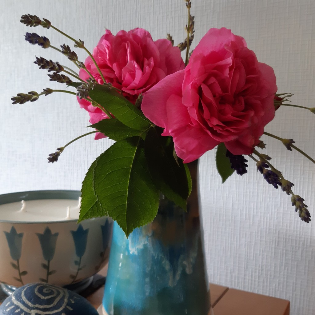 Gertrude Jekyll Roses with Lavender  by sarah19
